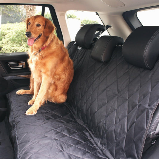 
"Golden Retriever on back seat with black waterproof cover."